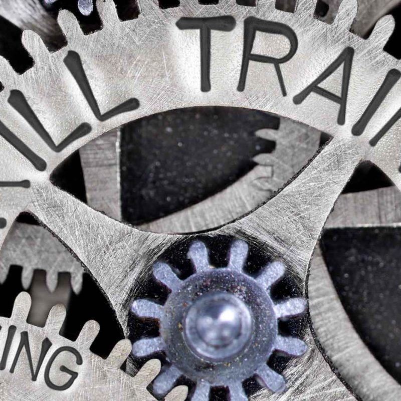 Cogs with words such us skill and training written on them