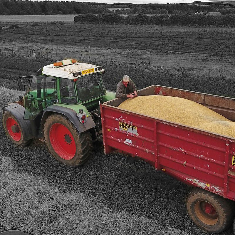 A tractor at Downfield Farm