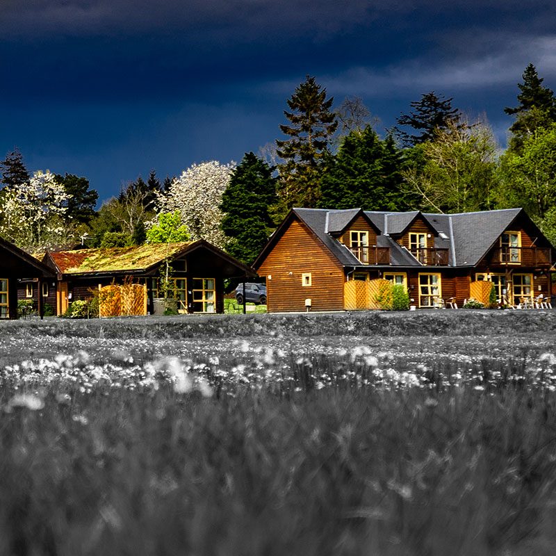 The lodges and chalets at Loch Lomond Waterfront